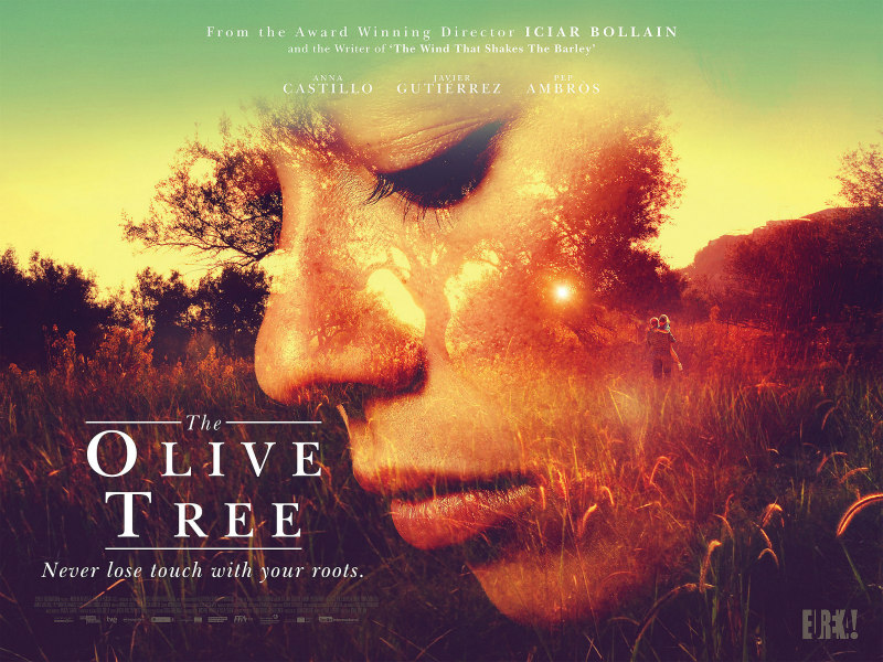 the olive tree poster