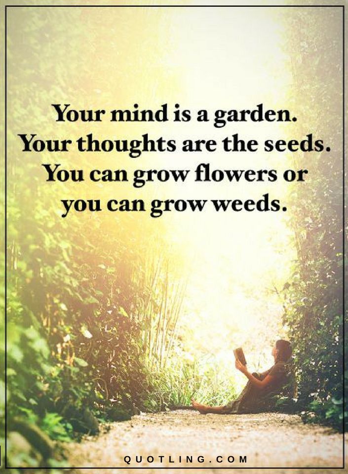 Quotes2Bmind2Ba%2Bgarden.2Bthoughts2Bthe%2Bseeds.2Bcan2Bflowers2Byou2Bgrow%2Bweeds..jpg