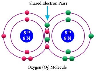 Chemistry B.Sc Level: Discus of Covalent bond