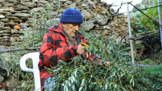 Το φαινόμενο Ικαρία