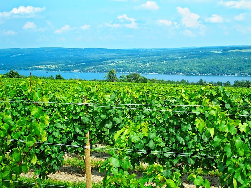 Finger Lakes wineries