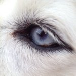 Follow Us on Instagram!