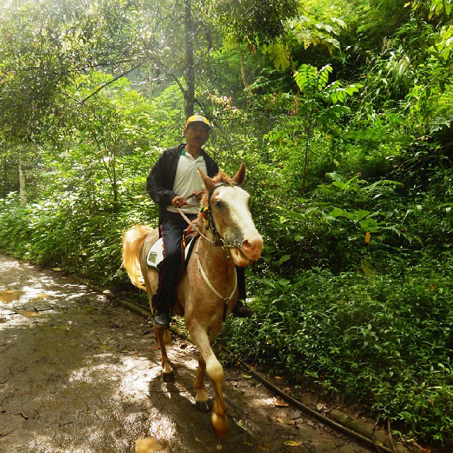 Kliping Gambar Alat Transportasi Tradisional dan Modern