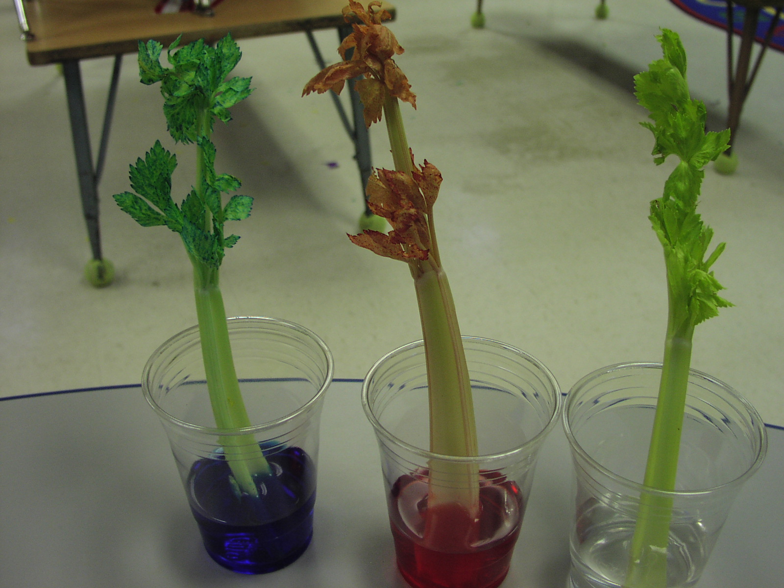 Keen On Kindergarten: Spring is here!