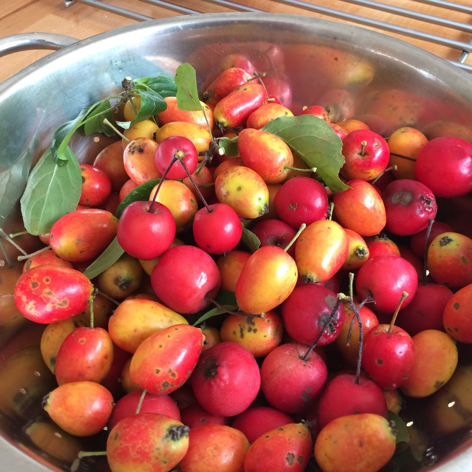 crab apple is my new quince