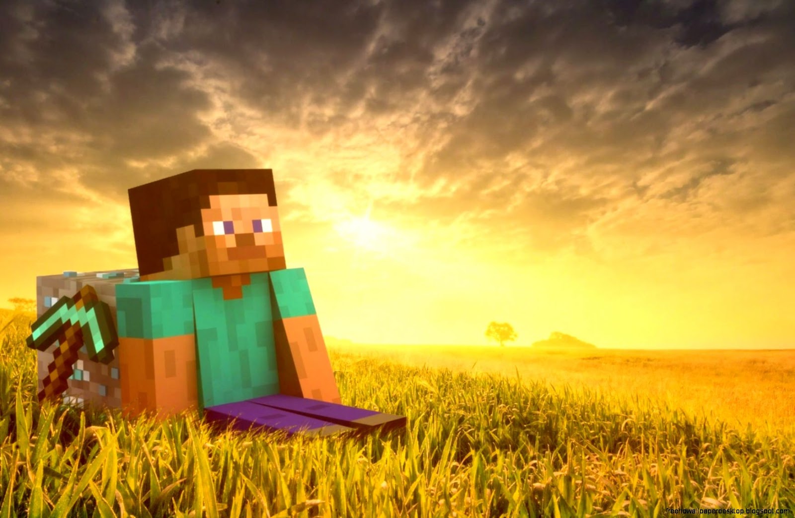 Minecraft Steve