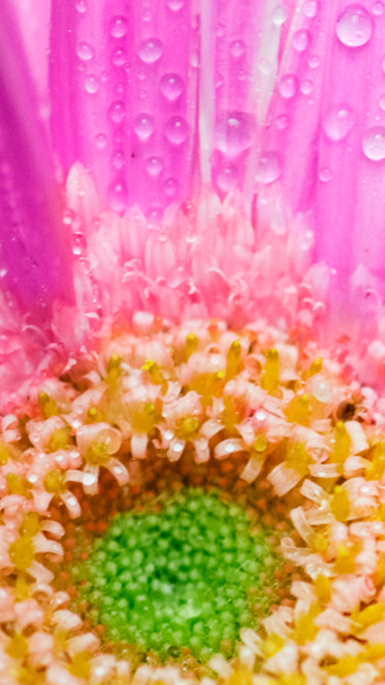 خلفيات ورود للموبايل والآيفون