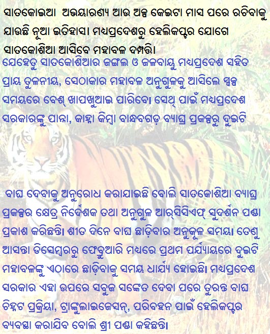 royal bengal tiger couple in satakosia,odisha