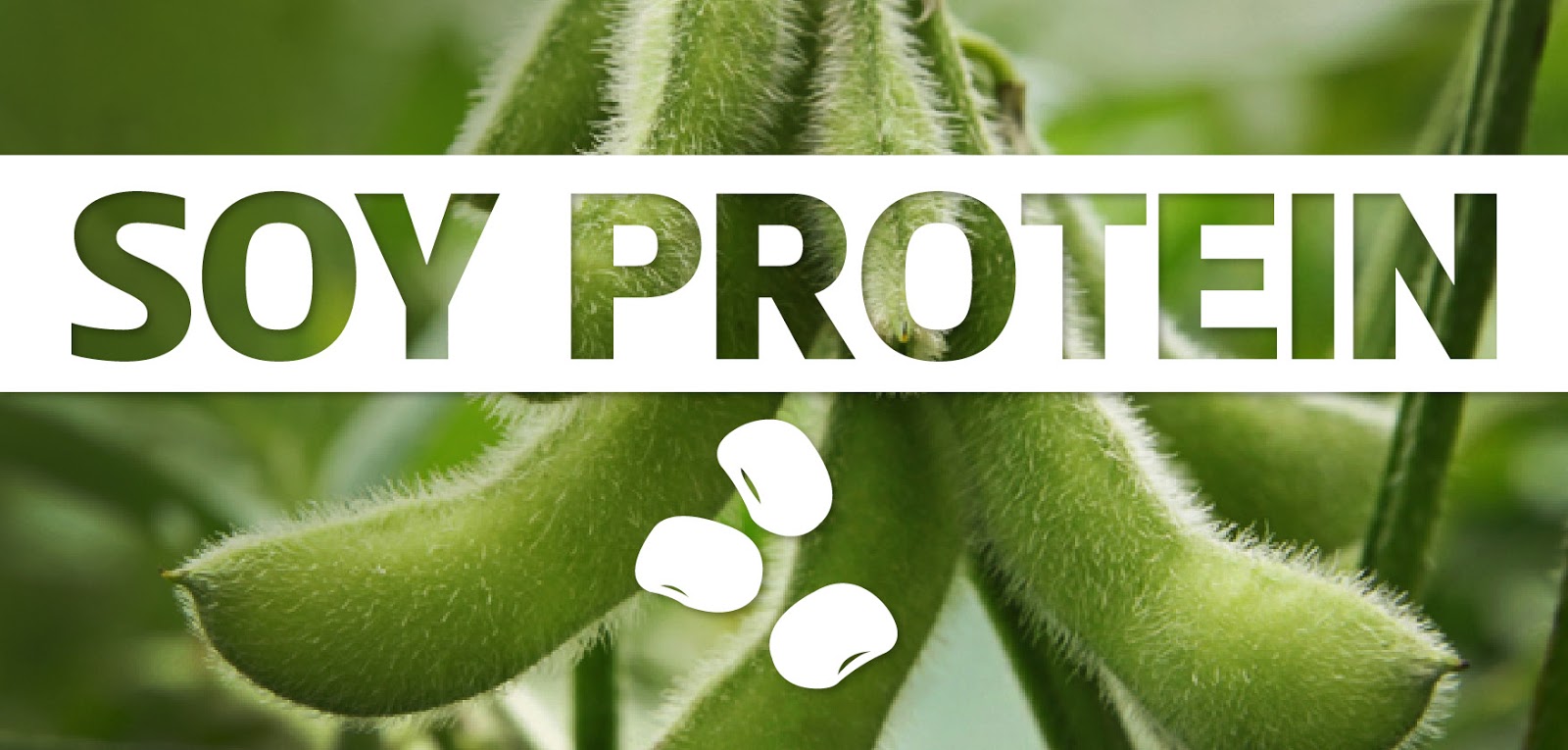 Zilaxo Advanced Pain Solution Are Soy Beans Good For Your Joints?