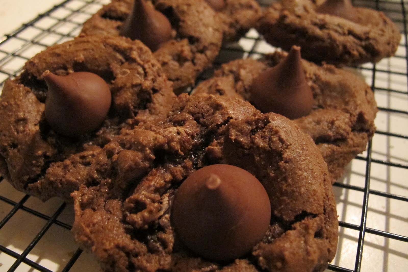 Laura's Culinary Adventures Triple Chocolate Blossoms