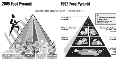 Piramida makanan 1992 vs 2005