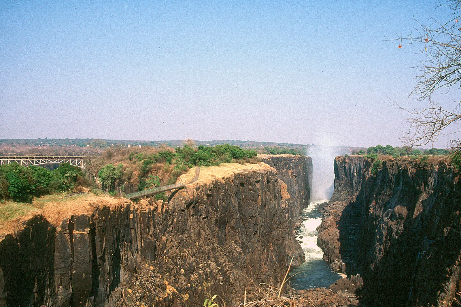 Official Blog Zambia Yellow fever certification no