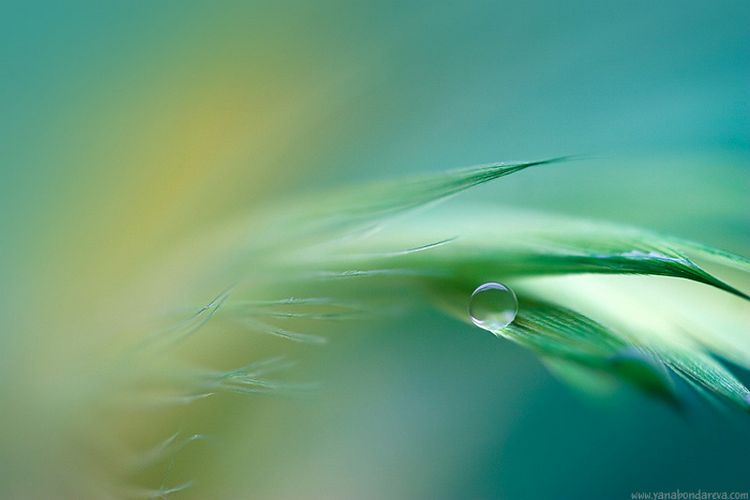 Tonos de verde agua