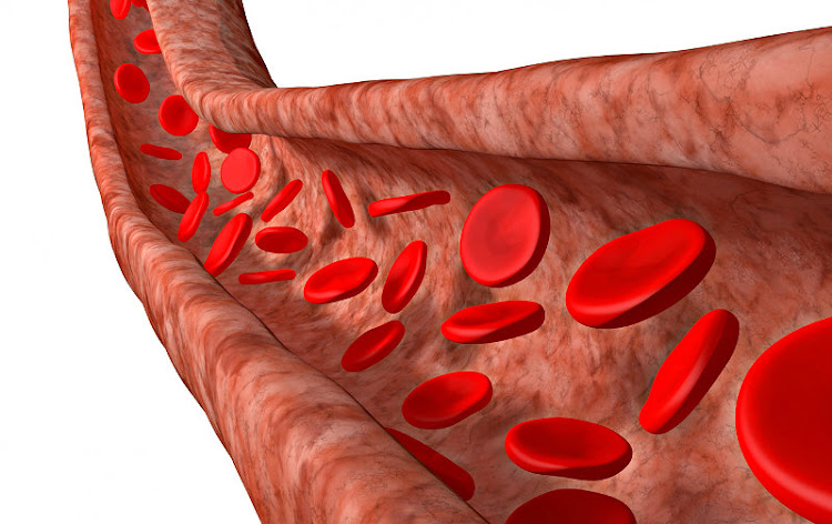 Vasculogénesis Vasculogénesis