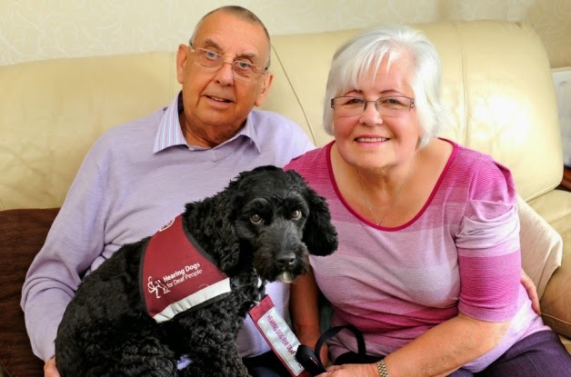 Perros de ayuda a personas con discapacidad auditiva