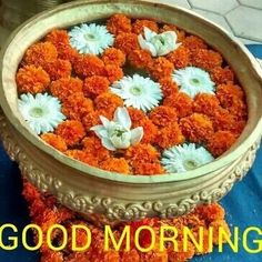 good morning gif images for whatsapp