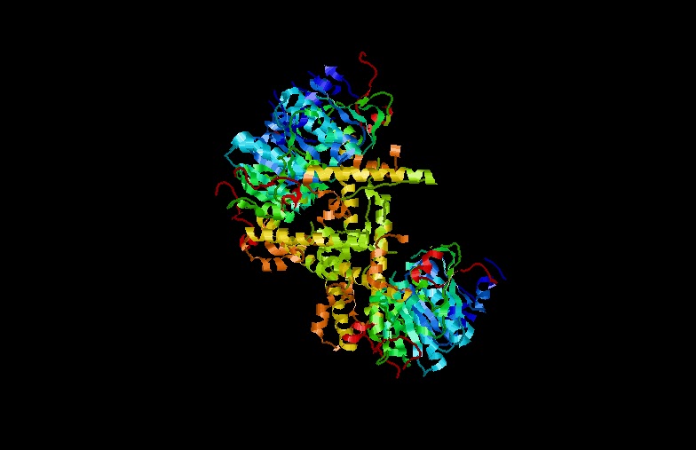 ExcFs IIuM StuDents PROTEIN DATA BANK (PDB) AND RASMOL