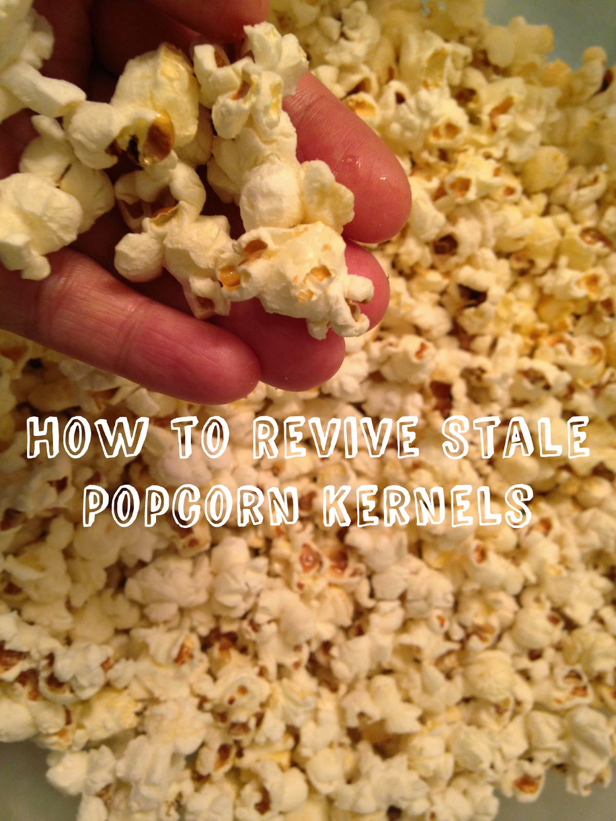 Frugal Allergy Mom How to Revive Stale Popcorn Kernels in 10 Minutes