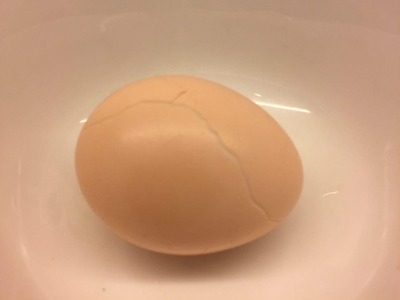 PetuniaLee™ Decoy Eggs