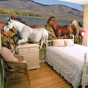 Horse wallpaper murals
