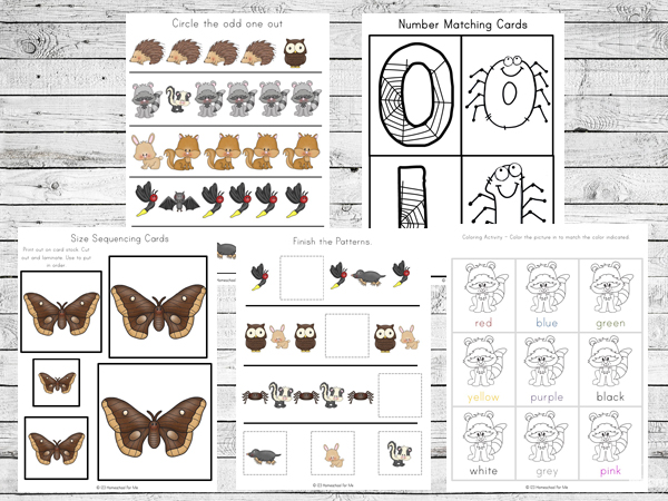 FREE Nocturnal Animals for Kids Worksheets