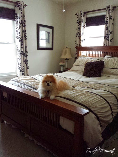Moments with Loribeth Master Bedroom Decor Master Bedroom with Tia on the Bed