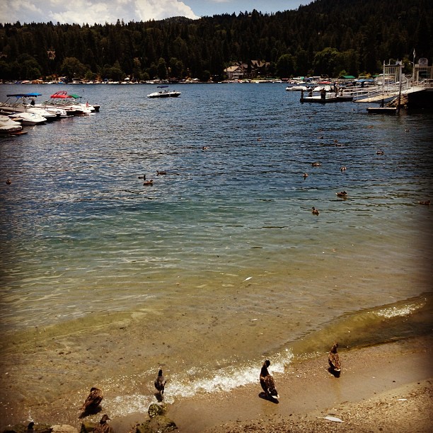 lake arrowhead