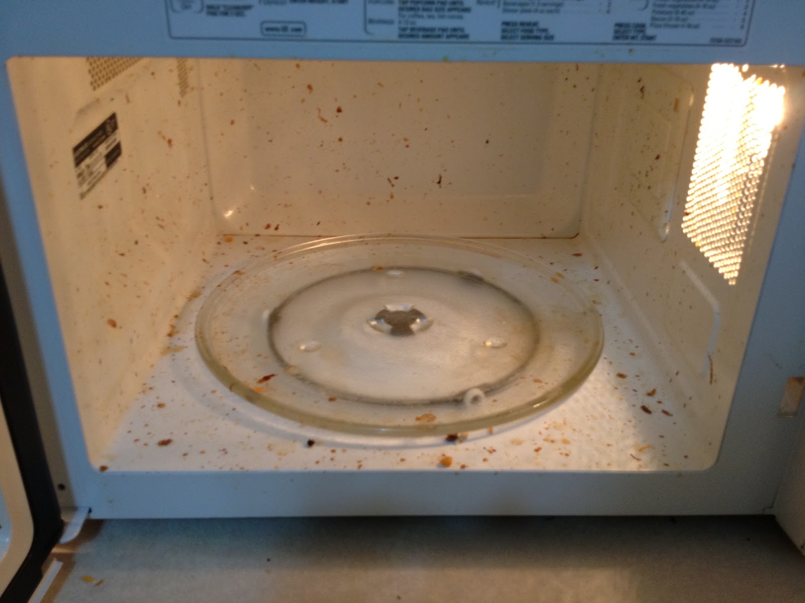 Crystal Cattle Easiest Way to Clean Your Microwave