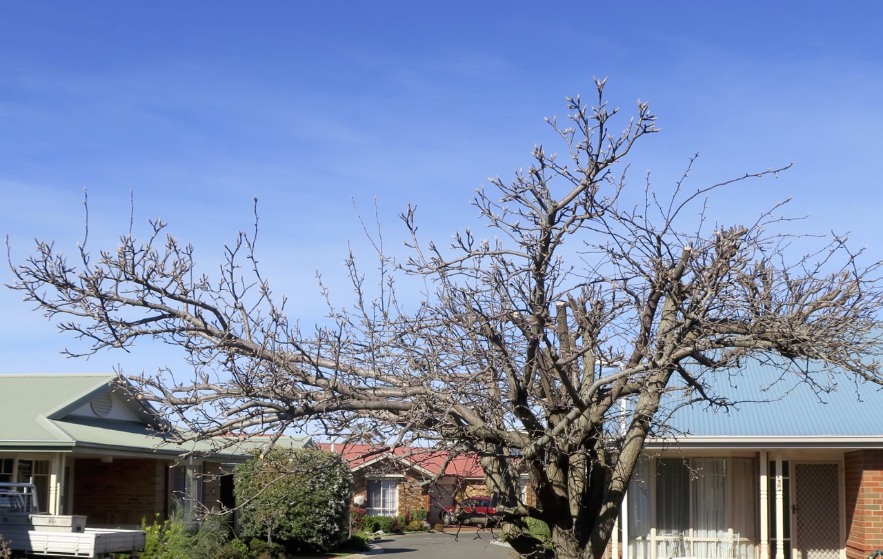 ROADSIDE IKEBANA THE SURF COAST ARTS TRAIL