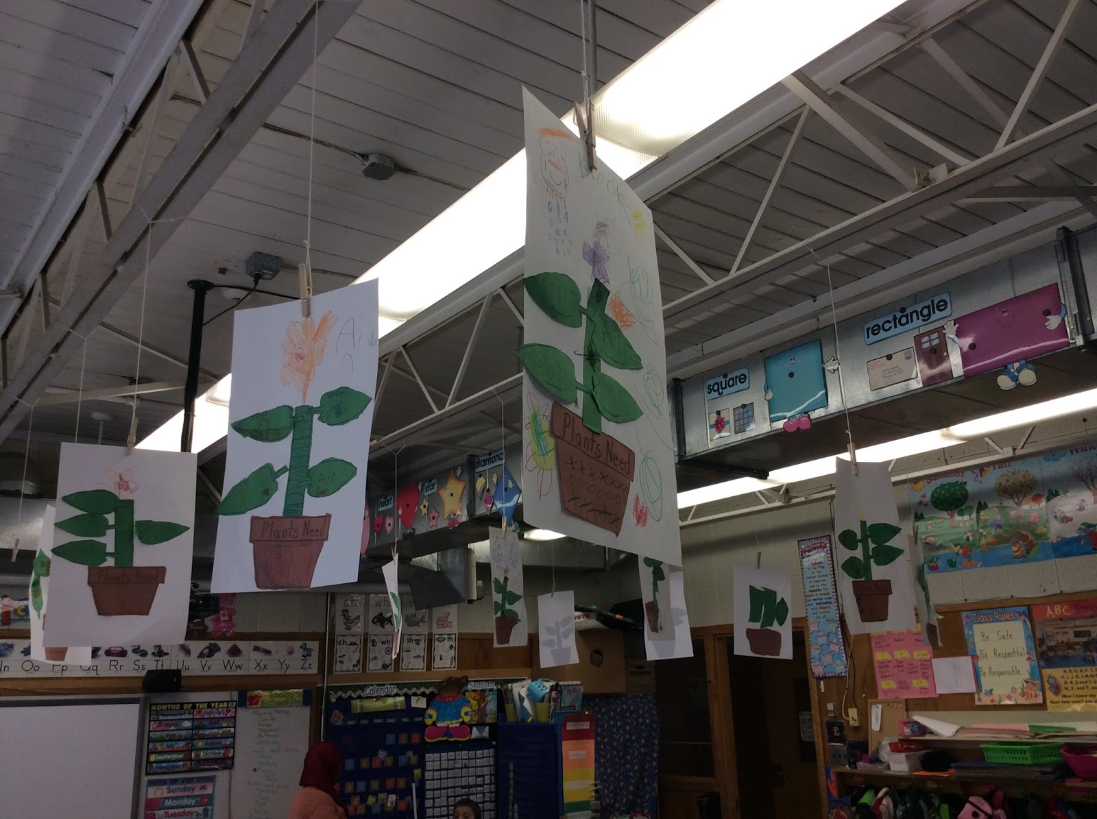  Kindergarten Kids: Plants 