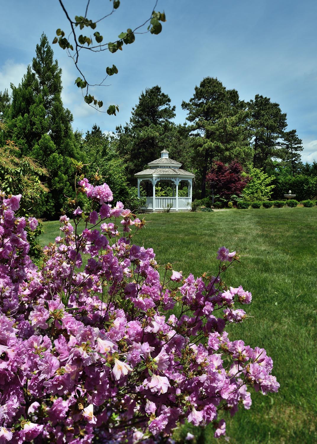 The Amazing Life: Cape Cod Spring 2013