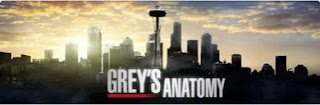 Grey's Anatomy Season 9 (Ongoing) 150mb Mini MKV