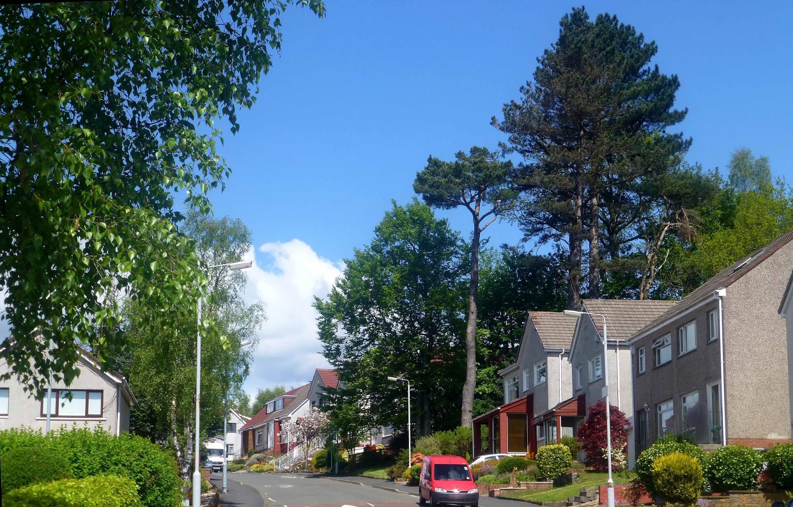 Alex and Bob`s Blue Sky Scotland Glasgow Spring. The Parklands. Say it