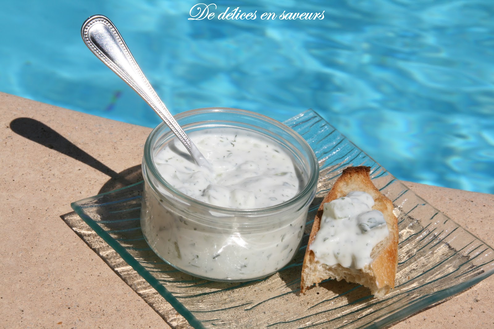 De délices en saveurs Tzatziki (τζατζίκι)