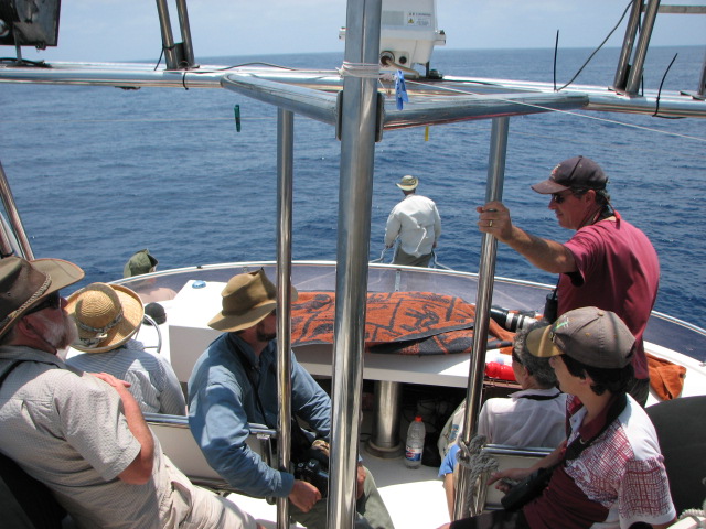 Jennifer Spry's Birding Blog: Hobbies