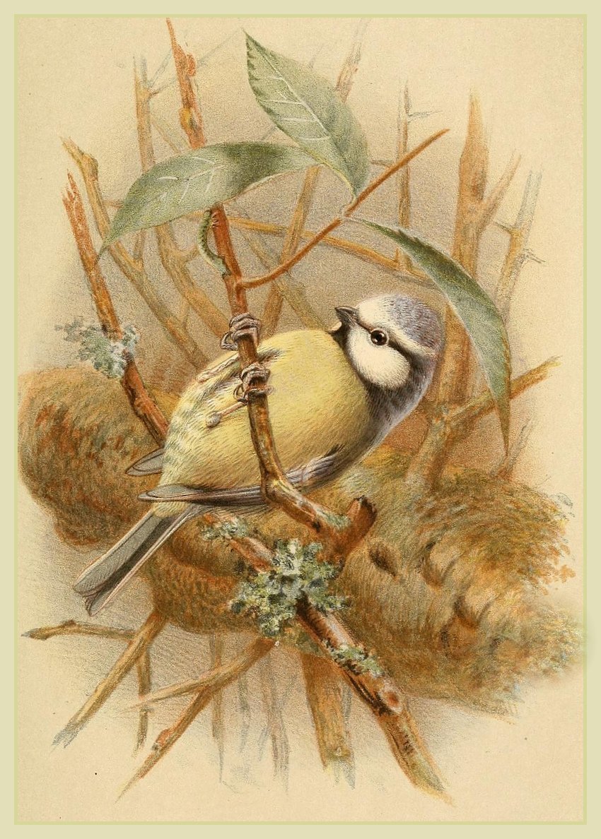 Related image