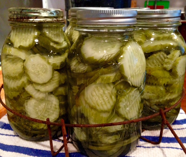Jan's Jars Dill Pickle Chips