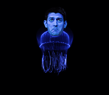 Paul_Ryan_Jellyfish.gif