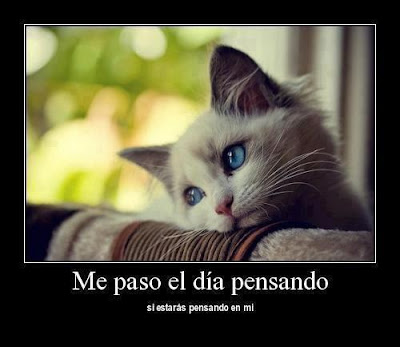 me paso el dia pensando