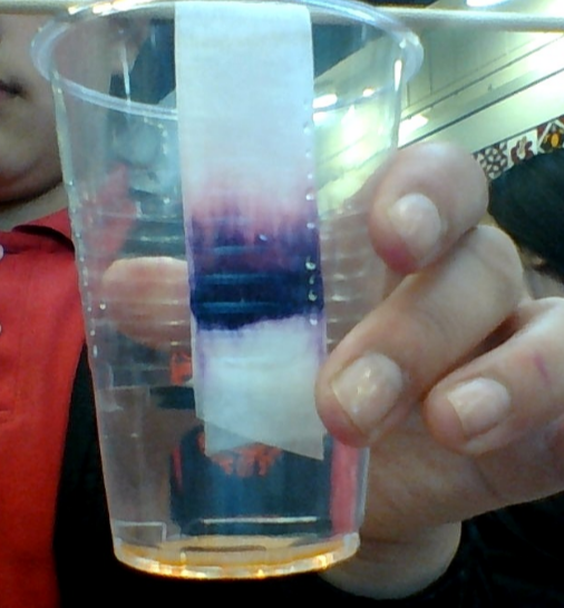 Cameo Chromatography Experiments
