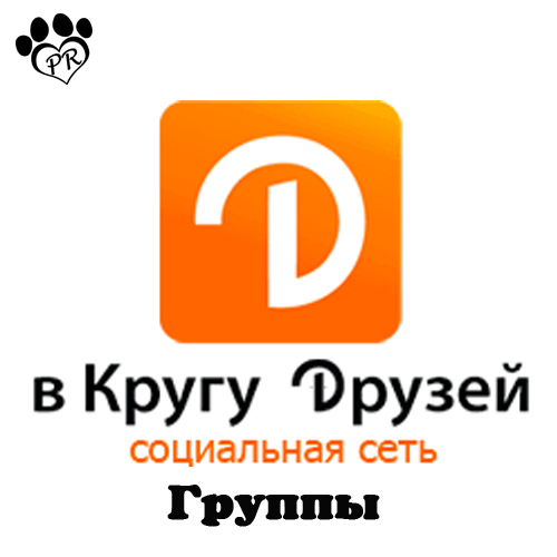 В кругу друзей