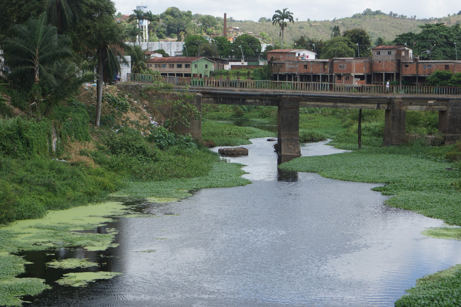 A Cidade e a História São