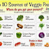 Top 10 Vegetarian Protein Sources
