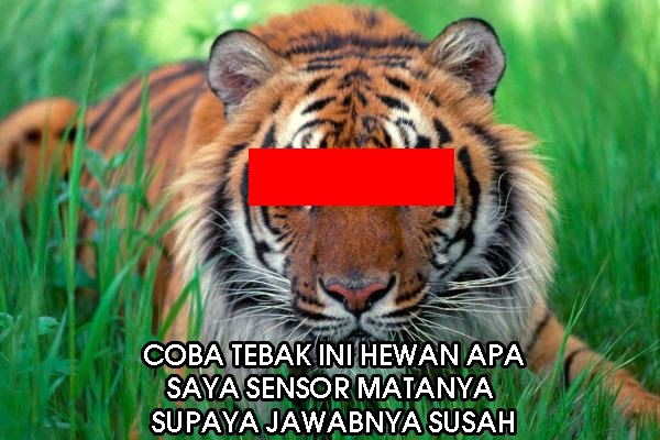 Tren Gaya 29 Tebak Gambar Lucu Hewan Simple Dan Minimalis, Gambar Lucu