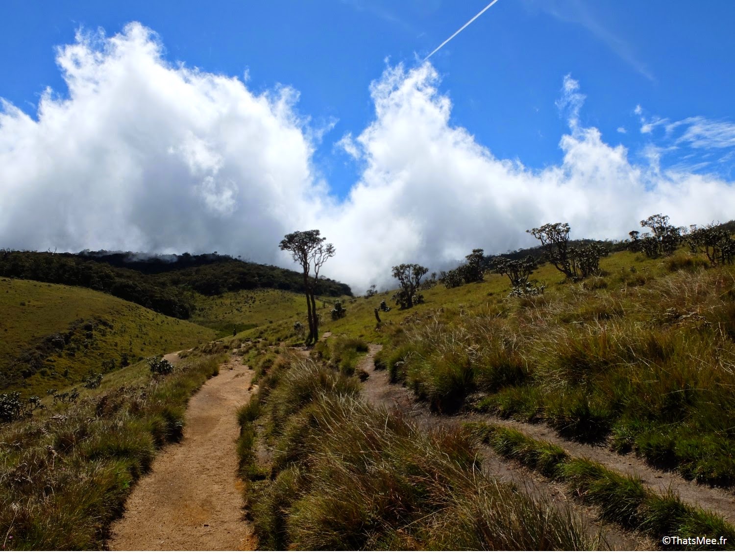 Horton Plains Sri Lanka brume 3000 hectares biodiversité