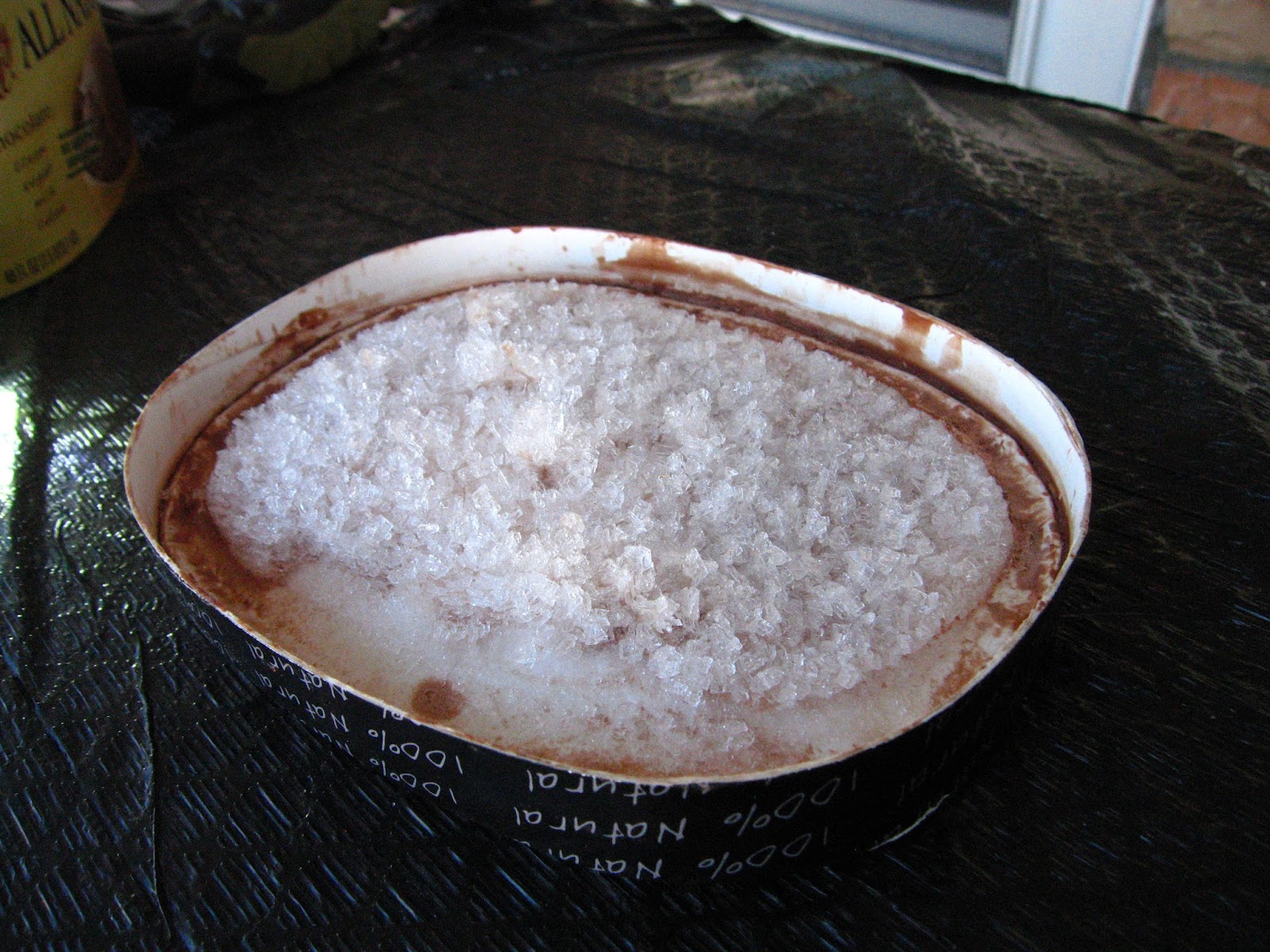 The Lansey Brothers' Blog When you don't eat ice cream for 2 years