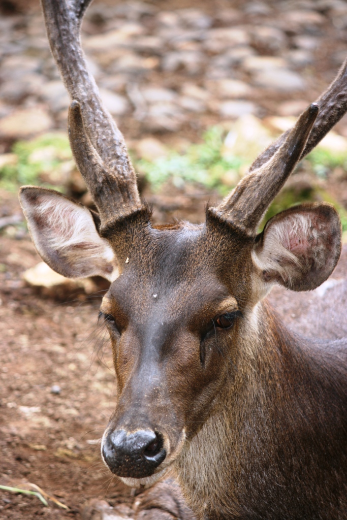 My Supernova Blast: Februari 2012