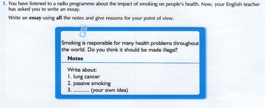 Essay about problems in the world view