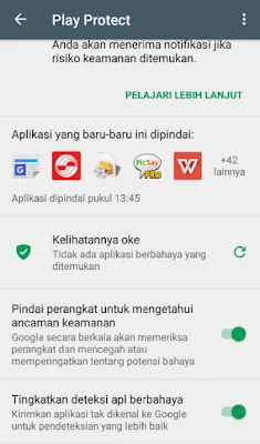 Google Play Protect Status