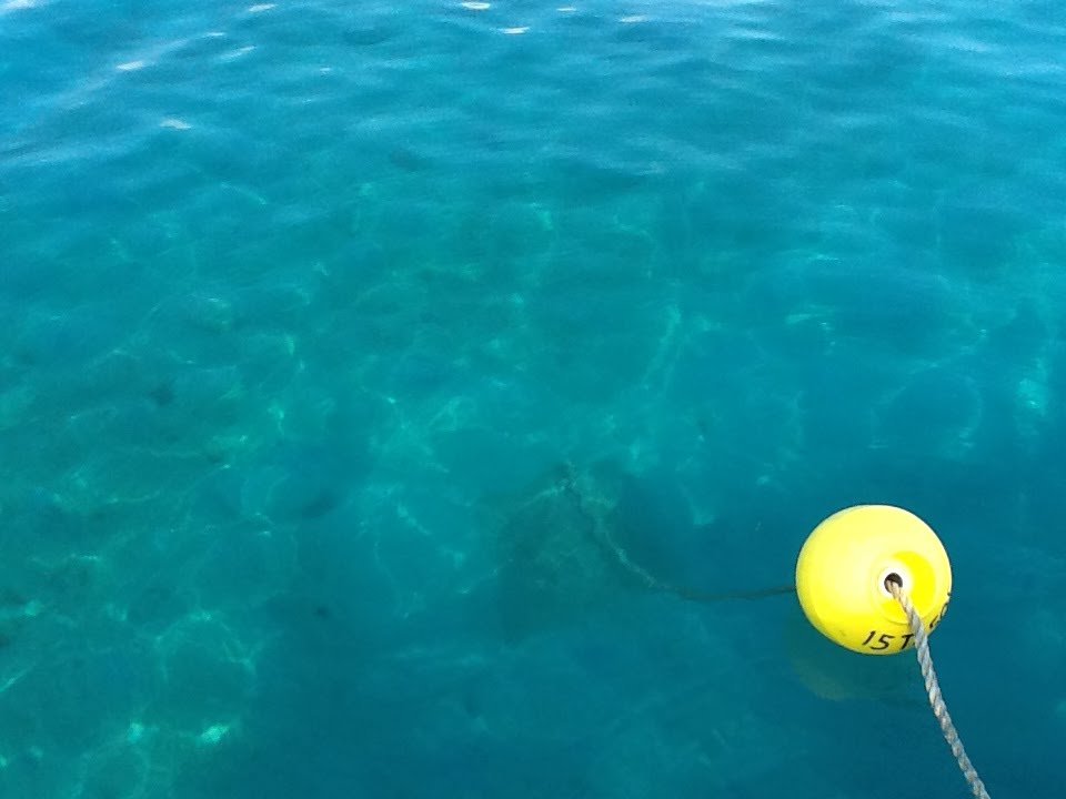 Life On The Rode Mooring ball